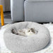 Pawz Non-Removable Calming cat Bed 