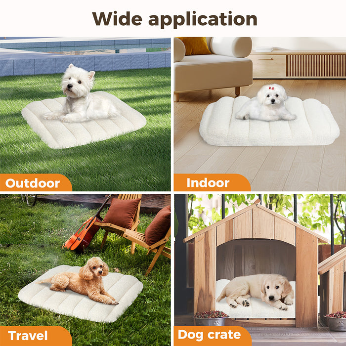 Pawz Orthopedic Dog Bed use indoor,outdoor & in create