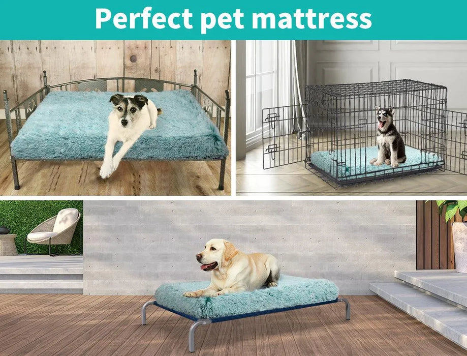 Pawz memory foam dog mat can use in Crate  or in pet trampoline 