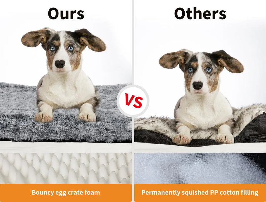 Pawz memory foam pet mat vs other pet bed