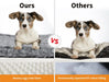 Pawz memory foam pet mat vs other pet bed
