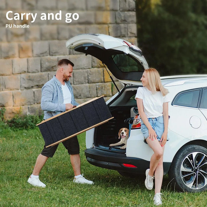 Pawz wooden dog ramp portable can fit in car 