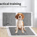 Pet Toilet Training Pads for practice training 