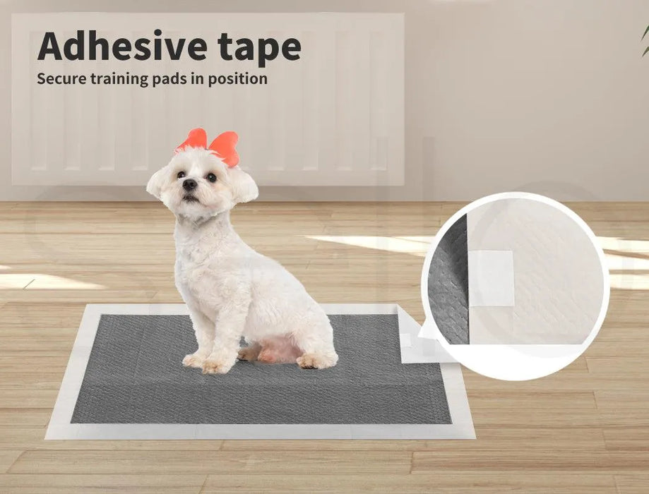 Pet Toilet Training Pads have adhesive tape