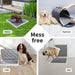 Pet on the Pet Toilet Training Pads 