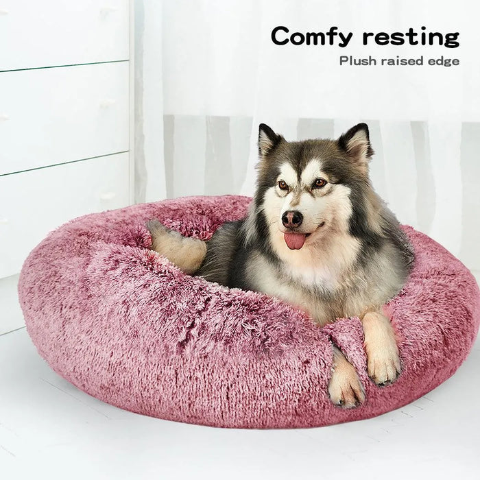 Plush Donut Calming Pet Bed with Husky Resting Comfortably