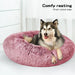 Plush Donut Calming Pet Bed with Husky Resting Comfortably