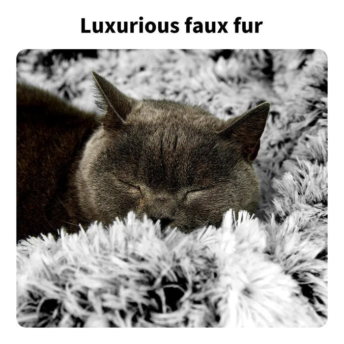 Plush Donut Calming Pet Bed with cat Resting Comfortably