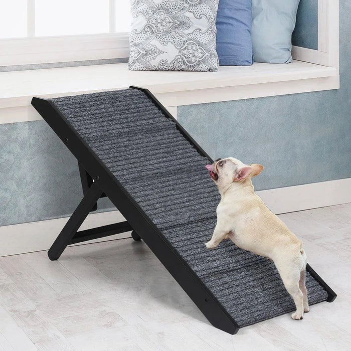 Pug on the PaWz Adjustable Height Dog Ramp 