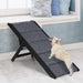 Pug on the PaWz Adjustable Height Dog Ramp 