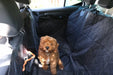 Puppy on the -back-seat-cover in car