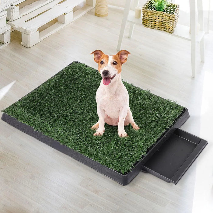 Puppy on the PaWz Fake Grass Puppy Pad 