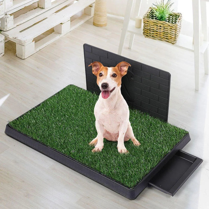 Puppy on the Synthetic Dog Grass Mat 
