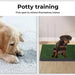 Puppy peeing on the PaWz Fake Grass Puppy Pad 