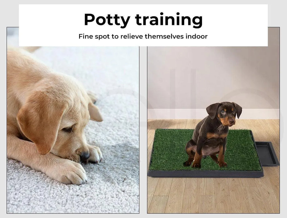 Puppy peeing on the PaWz Fake Grass Puppy Pad 