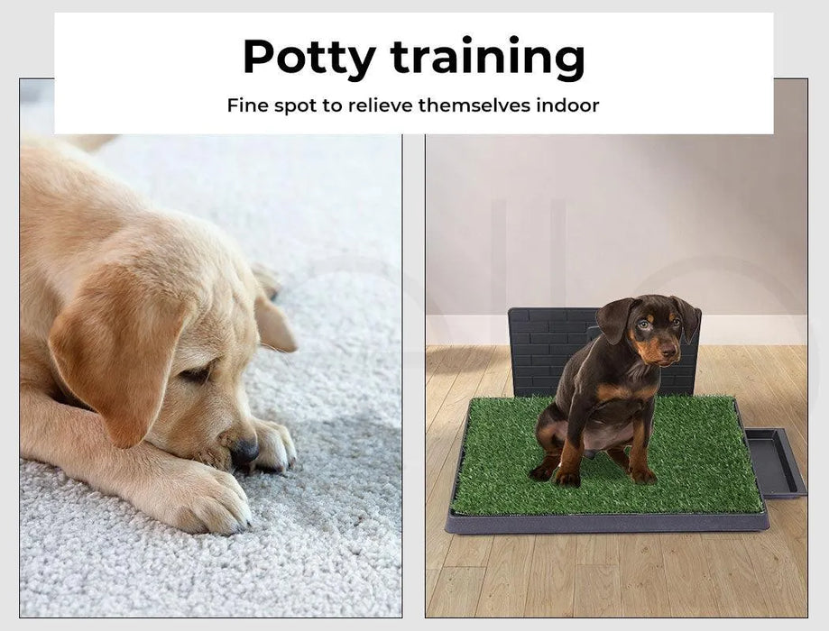Puppy peeing on the Synthetic Dog Grass Mat 
