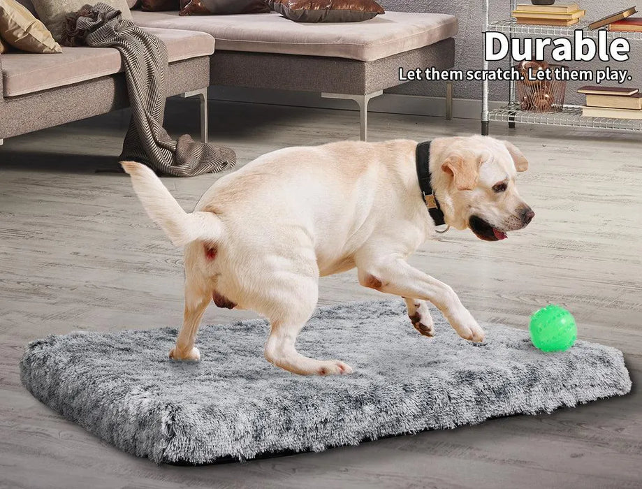 Puppy playing on the memory foam pet mat