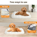 Puppy relaxing thiet on Pawz  Orthopedic Dog Beds