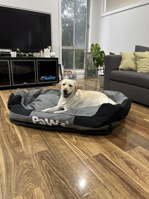 Dog setting on the Pawz waterproof washable dog bed​ 