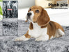 Puppy sitting on the pawz-memory foam dog crate mat