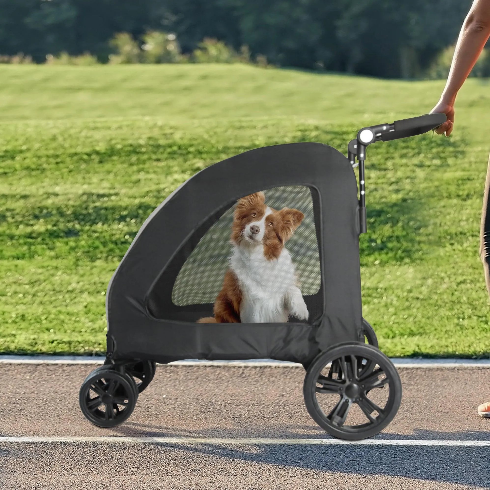 PaWz Pet Stroller 4 Wheel —