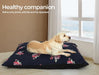 Senior Dog on the PaWz Washable Dog Calming Bed 