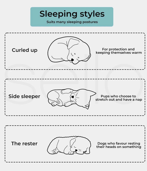Sleeping style of dog on chaise dog bed​