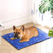 small size dog sitting on pet mat cooling​