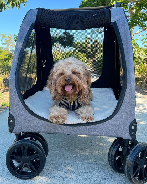 PaWz Pet Stroller 4 Wheel