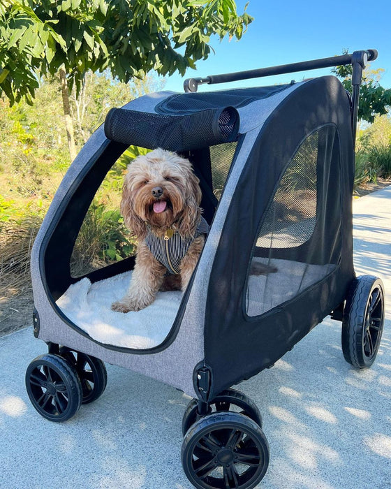 PaWz Pet Stroller 4 Wheel