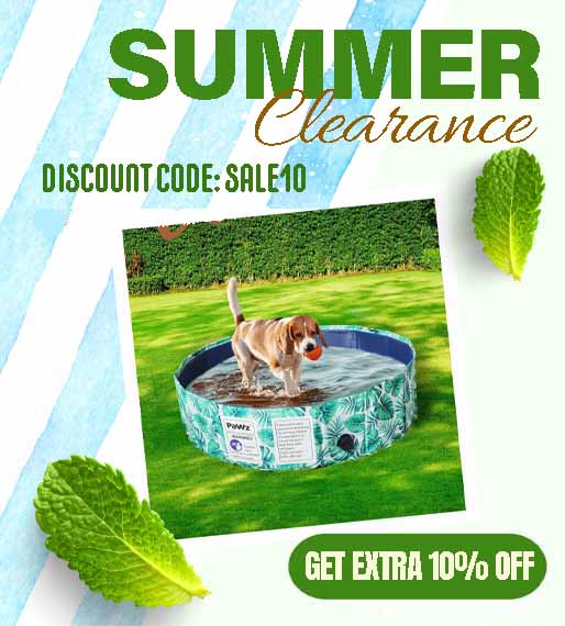 Discount pet outlet supplies online