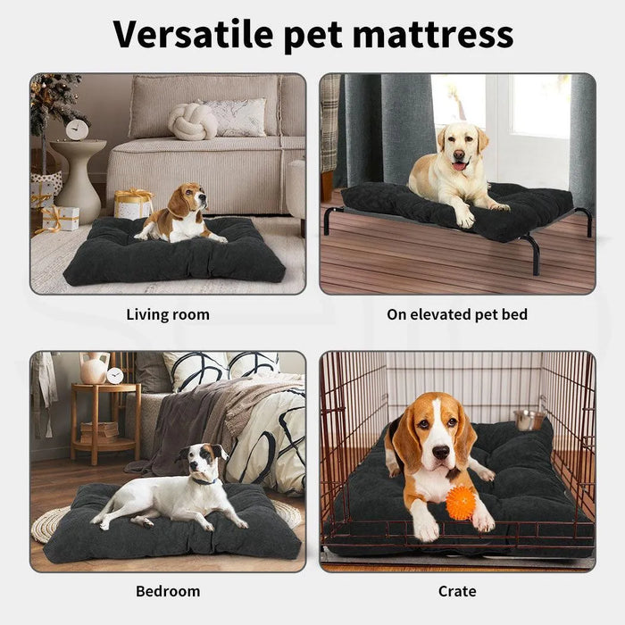 Use case of PaWz Pet Calming Cushion Dog Bed in crate, Elevated bed, room