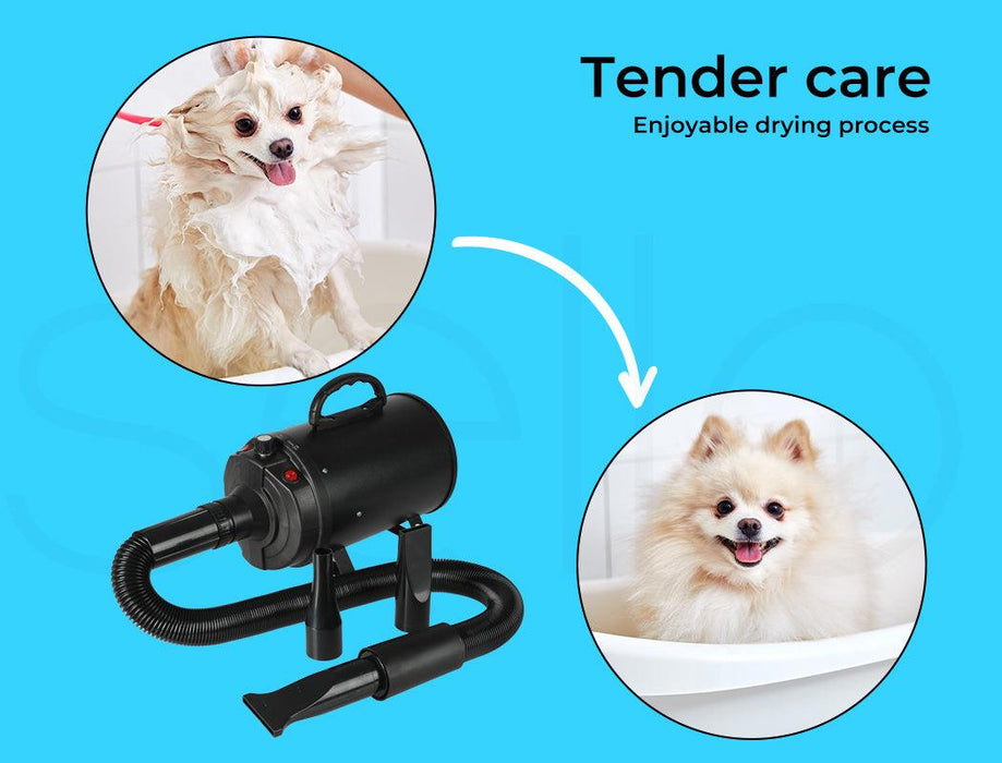 Dog Cat Pet Hair Dryer Grooming Blow Speed - petpawz.com.au