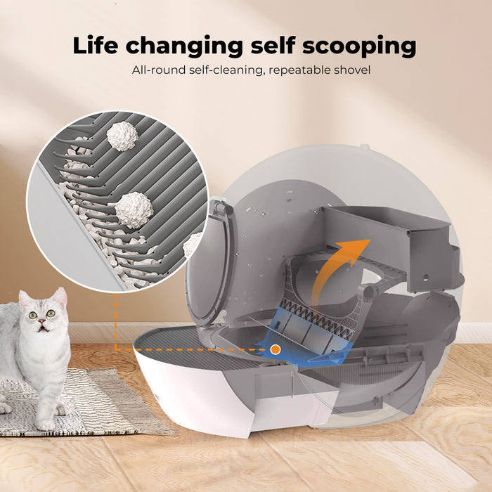 Pawz 1Pcs Grey Replaceable Rake for Self-Cleaning Cat Litter Box Easy to Install