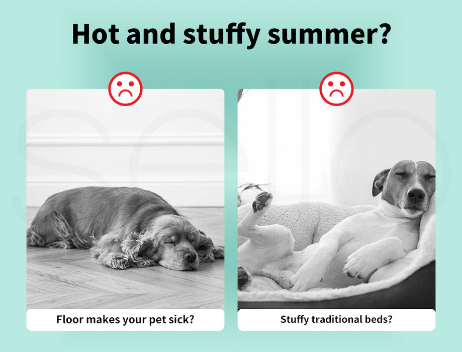 PaWz Dog Summer Cooling Mat