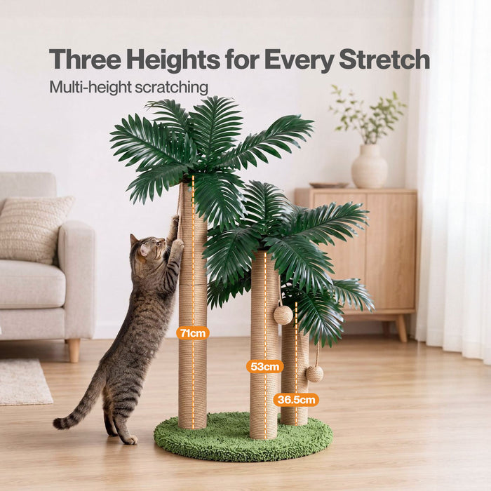 Cat Scratching Post 3 Heights Sisal Balls for Indoor Kitten Adult Green