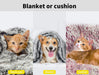 PaWz Pet Calming Blanket - petpawz.com.au