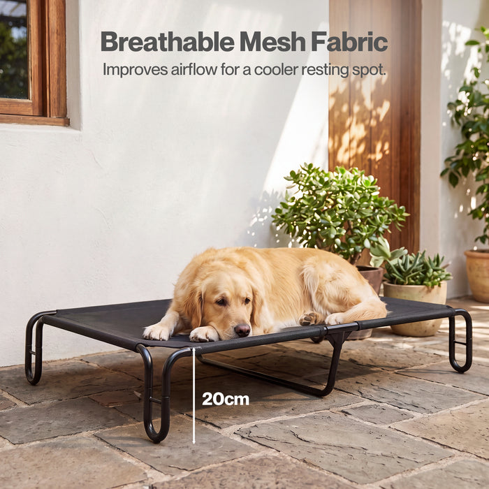 Elevated Dog Bed Breathable Mesh Cooling for Indoor Outdoor Black