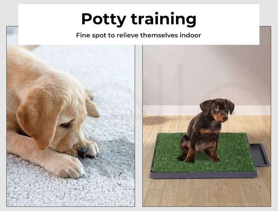 Pawz Training Grass Potty