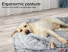 PaWz Premium Pet Orthopaedic Bed - petpawz.com.au