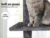 PaWz Cat Scratching Post Tree Beige - petpawz.com.au