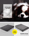 Pawz Foldable Travel Dog Beds - petpawz.com.au