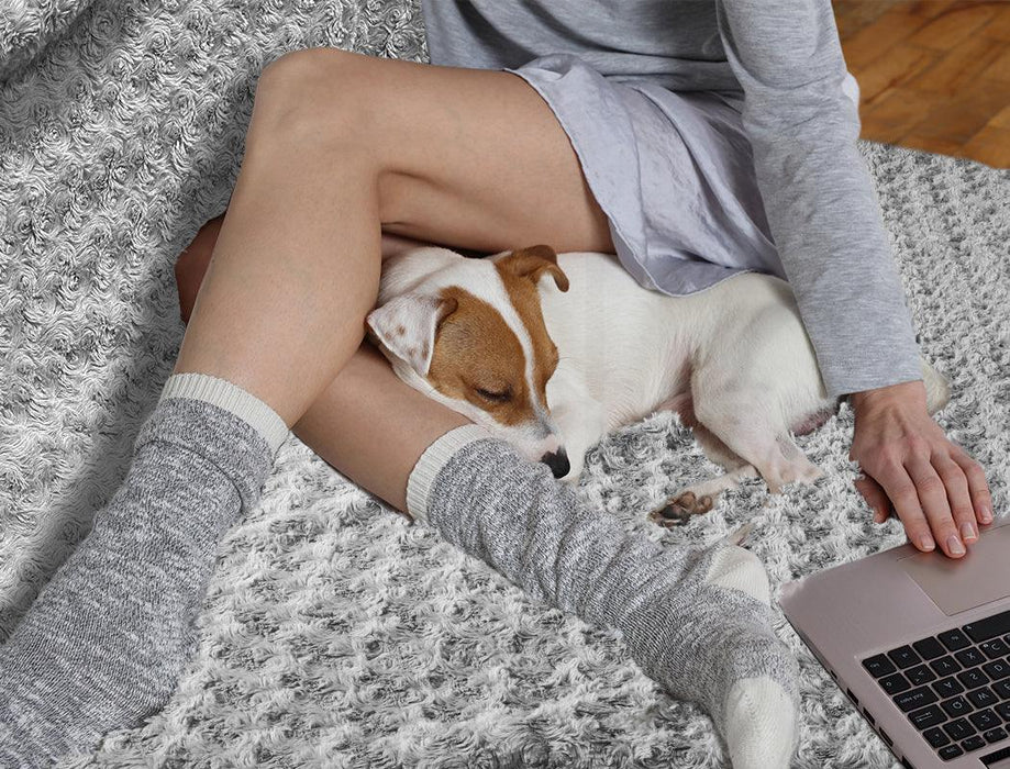 PaWz Pet Calming Blanket for Dogs - petpawz.com.au