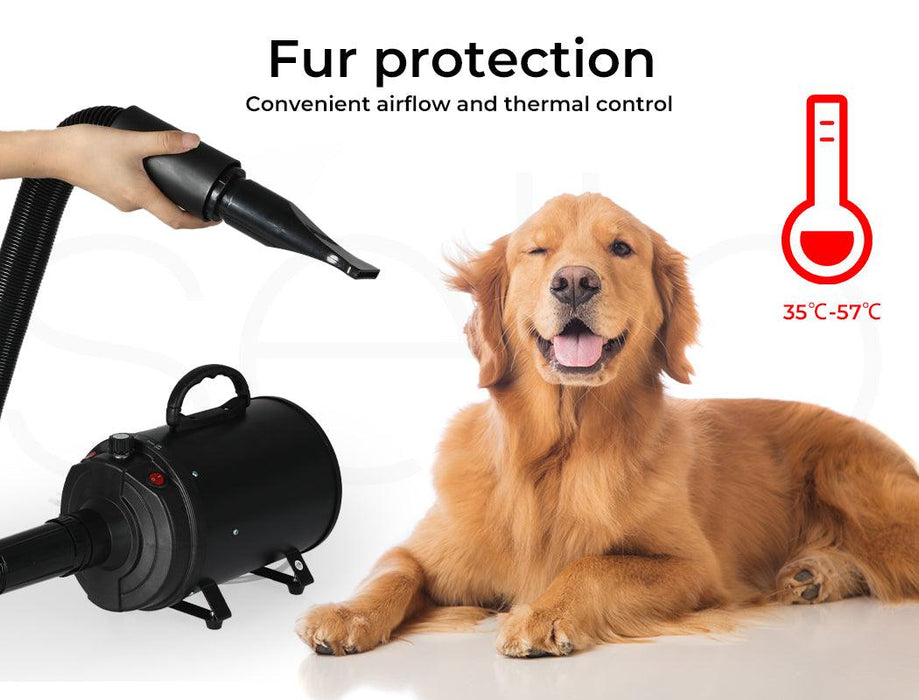 Dog Cat Pet Hair Dryer Grooming Blow Speed - petpawz.com.au