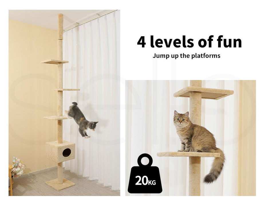 PaWz Cat Scratching Post Tree Beige - petpawz.com.au