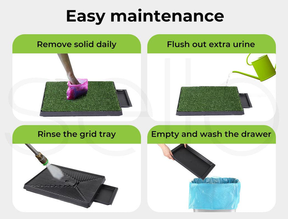 Pawz Training Grass Potty - petpawz.com.au