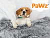 PaWz Pet Calming Blanket - petpawz.com.au