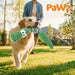 Dog Chew Toys 6pcs Value Pack - petpawz.com.au