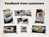 PaWz Premium Pet Orthopaedic Bed - petpawz.com.au