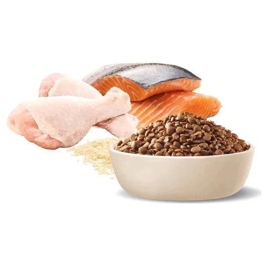 Advance Cat Adult Multi-Cat All Ages Chicken and Salmon with Rice 6kg - petpawz.com.au